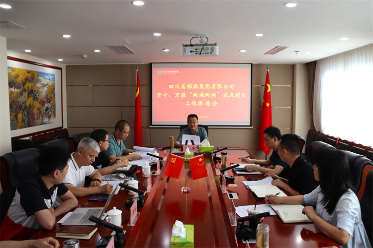 鄧華主持召開資中、萬源“兩端兩網(wǎng)”試點(diǎn)建設(shè)工作推進(jìn)會